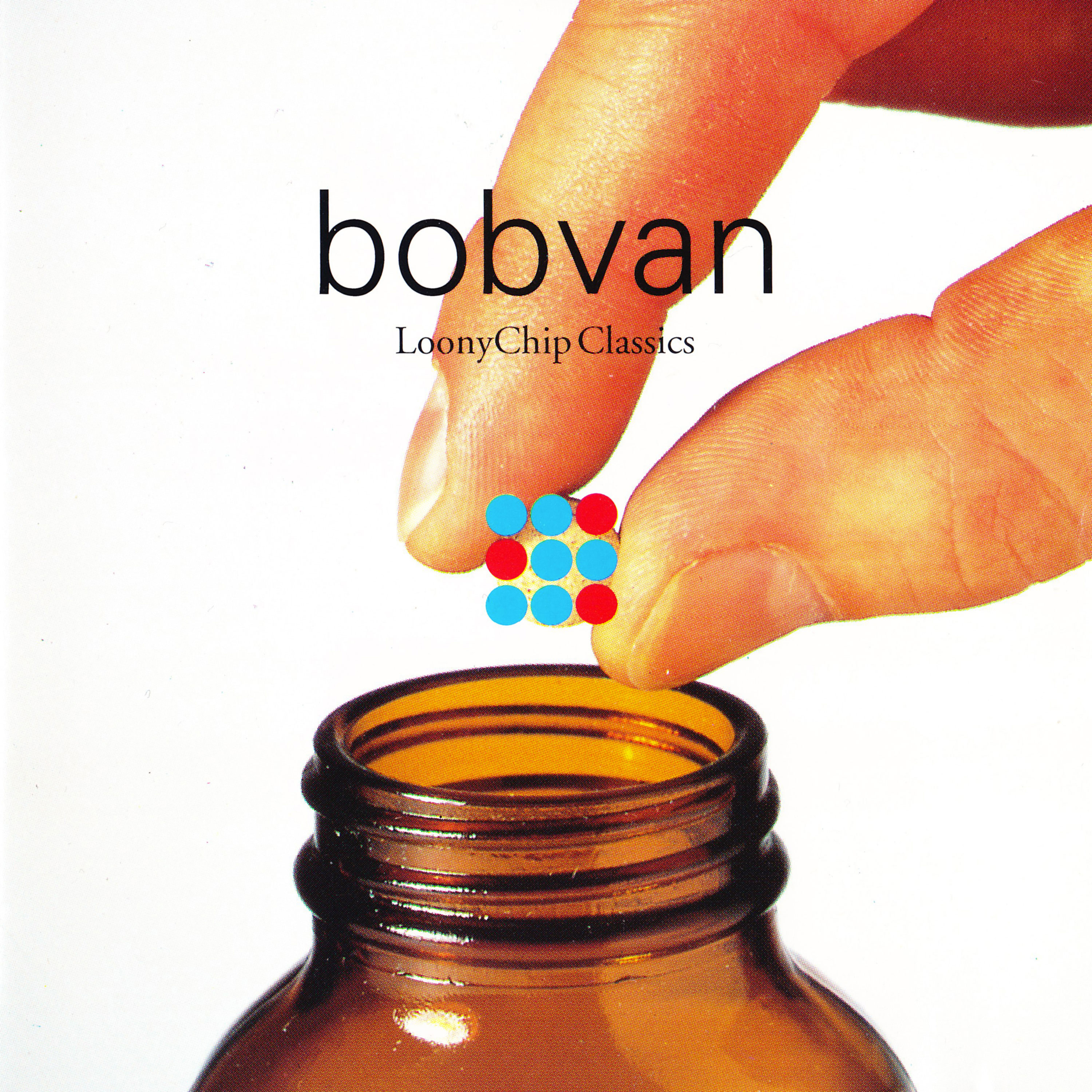 BOBVAN - LoonyChip Classics (1991) 