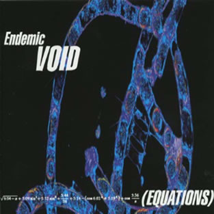 ENDEMIC VOID - Equations